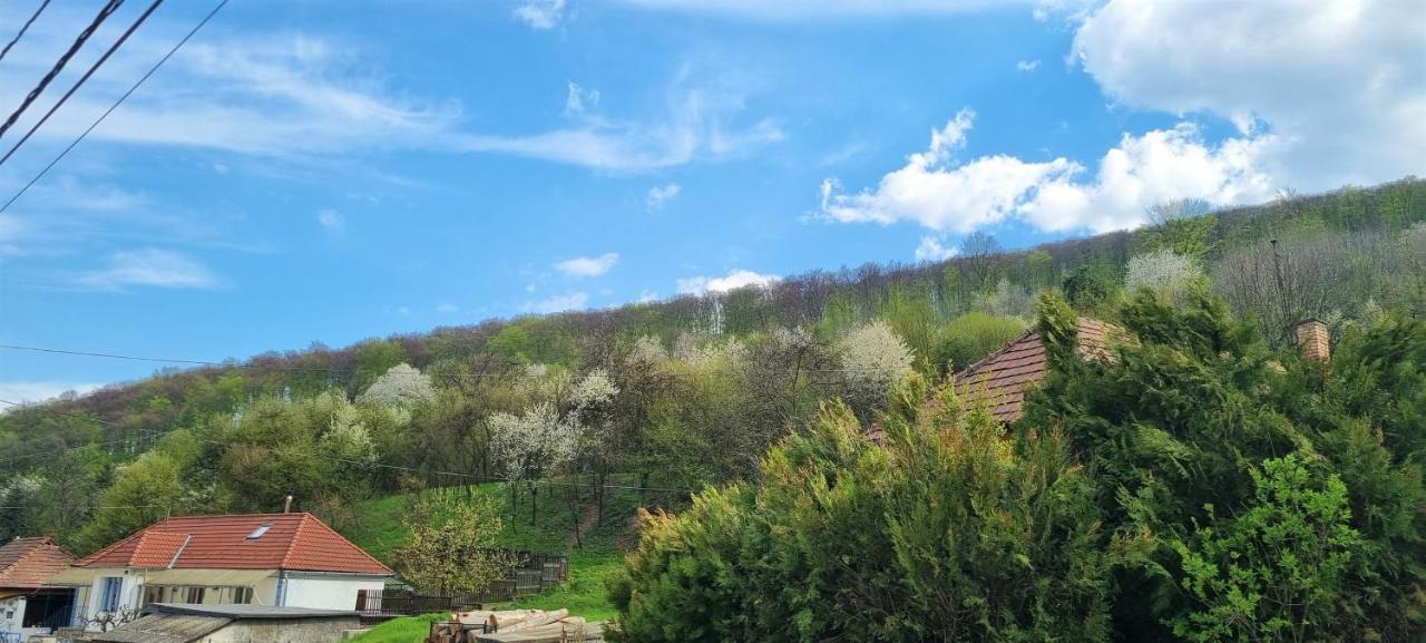 Hos-Cegledi Vendeghaz Miskolc -Oenallo Otthon, Mely Csak Az Oenoeke Εξωτερικό φωτογραφία
